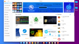 Deepin Store