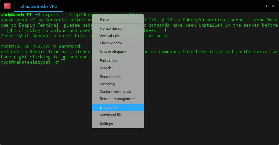Subir archivo en la terminal